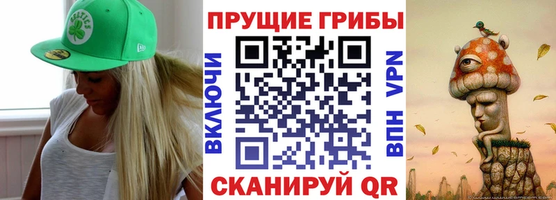 Галлюциногенные грибы мухоморы  Купить закладки  Котовск 